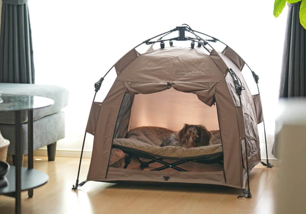 『初恋DOGs』（TBSテレビ）様にQUICKCAMPのわんちゃんと一緒にキャンプできるグッズをご紹介いただきました！